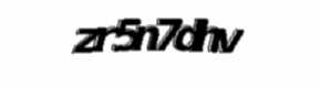 Security check image, please type the characters shown
