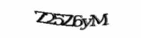 Security check image, please type the characters shown