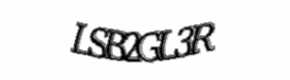 Security check image, please type the characters shown